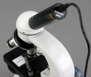 AmScope Compound Monocular Microscope